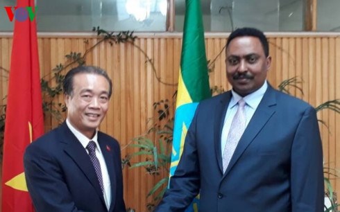 埃塞俄比亚建议越南在亚的斯亚贝巴开设大使馆 hinh anh 1