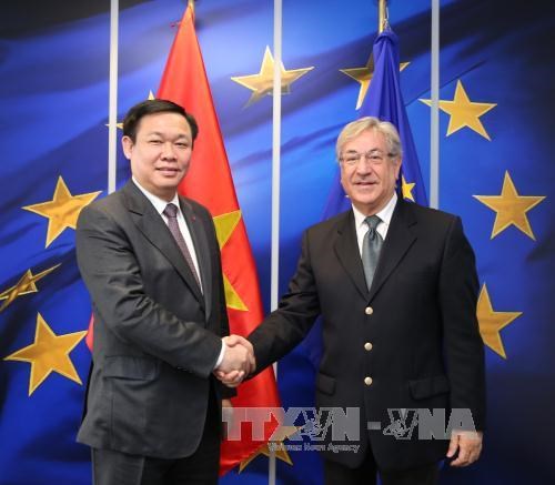 越南与比利时一致同意扩大双边合作关系 hinh anh 3