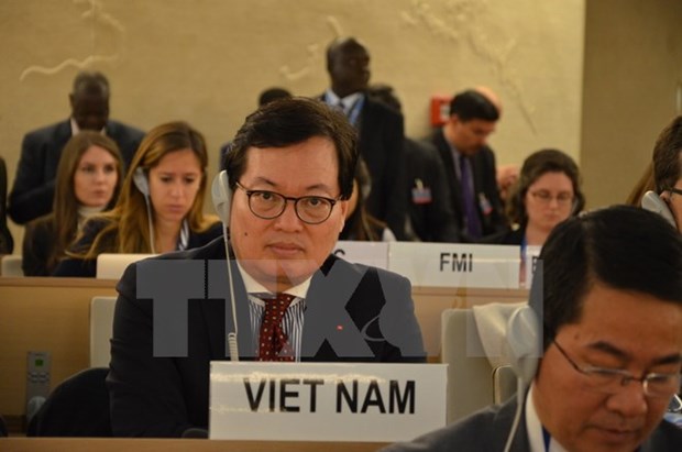 越南为世界和地区促进和保护人权做出贡献 hinh anh 1