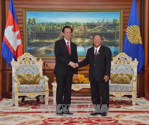 柬埔寨国会主席：柬埔寨国会一向支持推动越柬合作关系向前发展 hinh anh 1