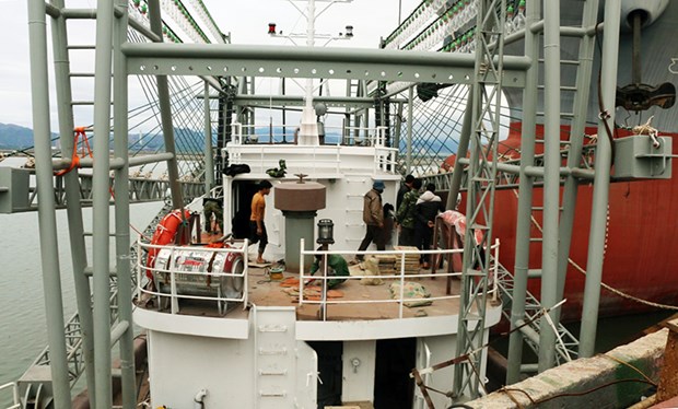 广宁省协助渔民造船 服务于远洋捕捞作业 hinh anh 1