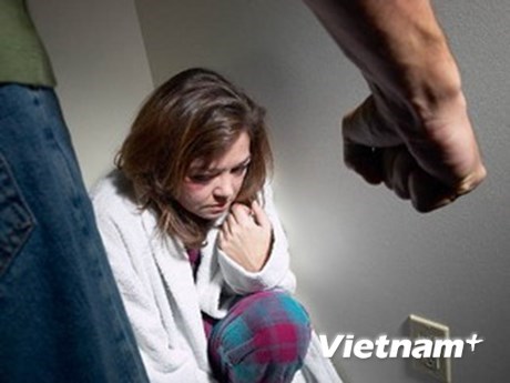 越南努力预防和制止家庭暴力 hinh anh 1