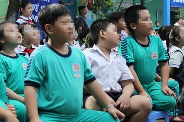 越南各大城市儿童肥胖人数剧增 hinh anh 1