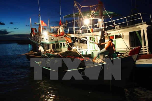 年初至今坚江省海洋捕捞产量达41.1万吨 hinh anh 1