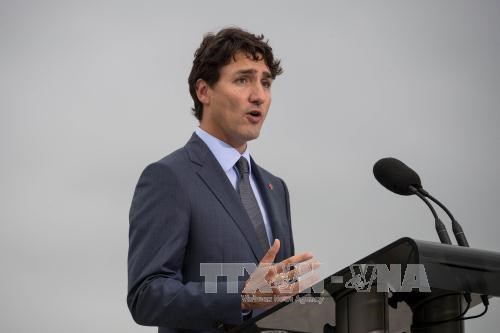 加拿大总理访越将为促进两国贸易投资合作作出贡献 hinh anh 1