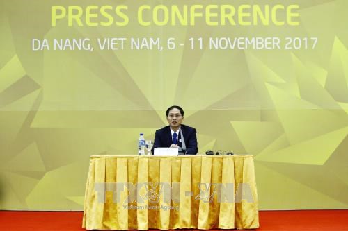 2017年APEC高官总结会议在岘港市闭幕 hinh anh 1