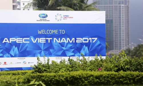 2017年APEC会议：展现越南的地位和实力 hinh anh 1