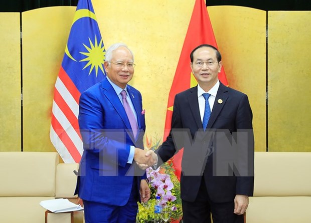 APEC2017：越南国家主席陈大光会见马来西亚总理纳吉布 hinh anh 1