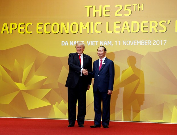 第25次APEC领导人会议正式开幕 hinh anh 4