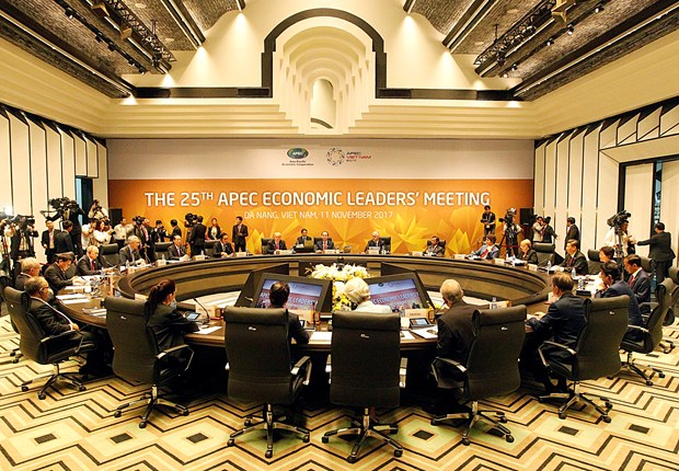 第25次APEC领导人会议正式开幕 hinh anh 1