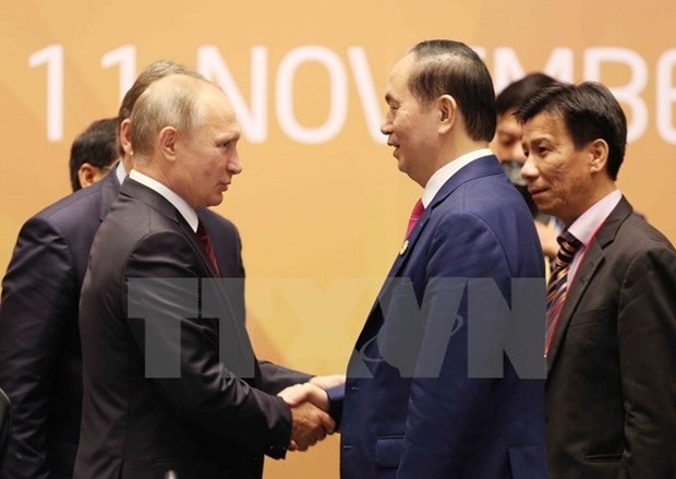 2017年APEC会议：树立越南在俄罗斯对亚太地区政策中地位的主要因素 hinh anh 1