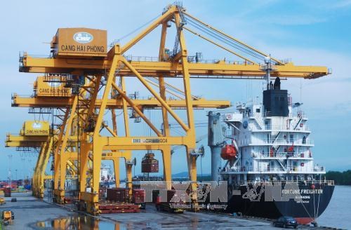 Vinalines与Rent-A-Port公司在海防港兴建谷物进出口专用码头 hinh anh 1