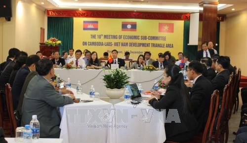 柬老越发展三角区经济小组第十次会议在平福省举行 hinh anh 1