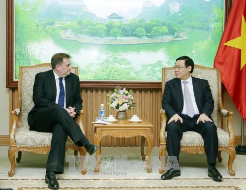 王廷惠副总理：越南政府为外国企业在越南经营与投资创造最便利条件 hinh anh 1