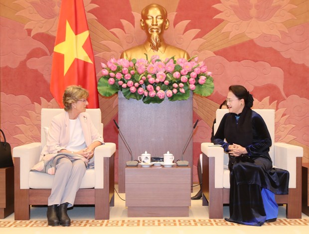 越南国会主席阮氏金银会见西班牙新任驻越南大使 hinh anh 1