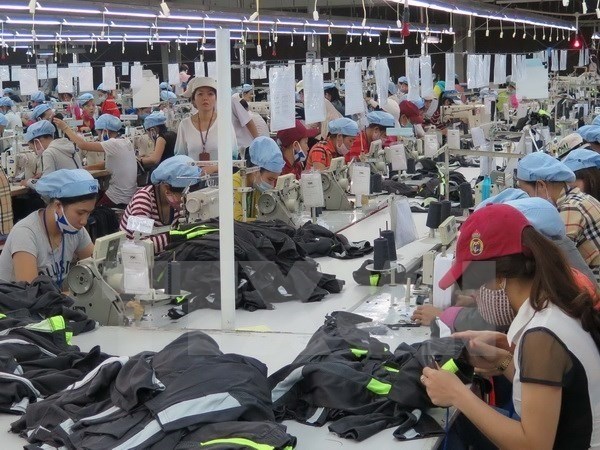 自由贸易协定为越南纺织业带来新机遇 hinh anh 1