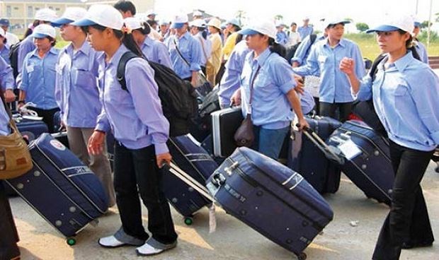 2018年越南提出劳务输出人数达11万人的目标 hinh anh 1
