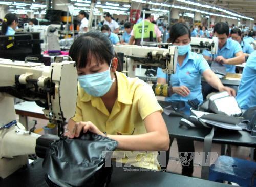 2018年越南鞋业峰会即将召开 深入讨论鞋类制造商发展模式 hinh anh 1