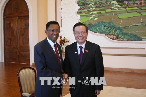 越南与马达加斯加传统合作关系中新的里程碑 hinh anh 1