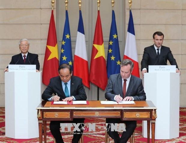 越南与法国发表联合声明 强调加强各领域的合作 hinh anh 2