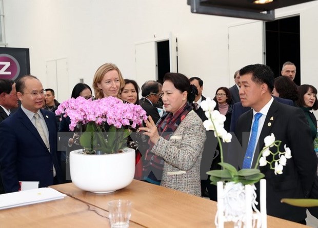 越南国会主席阮氏金银参观访问荷兰世界园艺中心 hinh anh 1