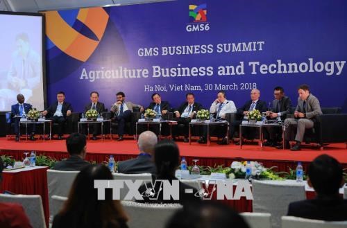 GMS-6会议和CLV-10峰会：高新技术是促进农业发展的重要因素 hinh anh 1