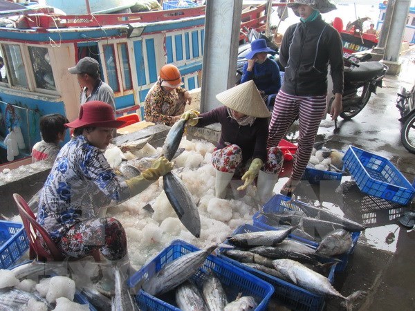 全国水产品捕捞产量喜获丰收 hinh anh 1