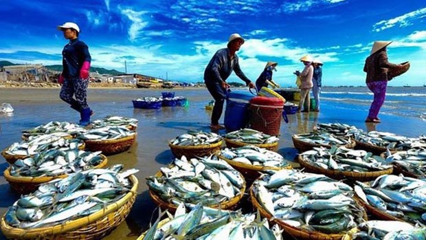 2018年越南水产捕捞量力争达330万吨 hinh anh 1
