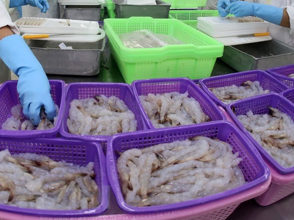 欧盟--越南虾类产品的最大出口市场 hinh anh 1