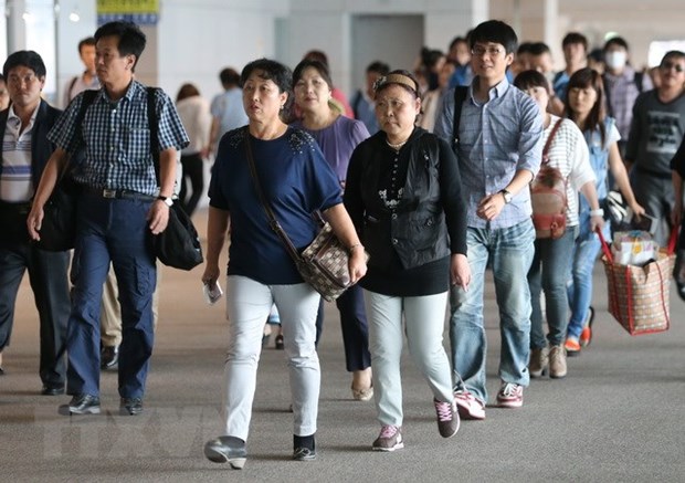 赴越南中国游客人数猛增的原因不是“零团费”旅游 hinh anh 1