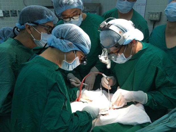 跨地域器官移植手术中的奇迹 hinh anh 1