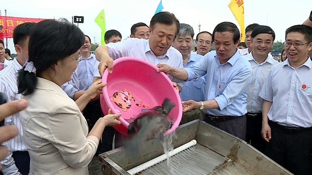 越中携手推动北部湾渔业资源可持续利用与发展 hinh anh 4