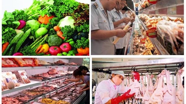提高食品安全管理工作效率 满足消费者和出口的需求 hinh anh 1