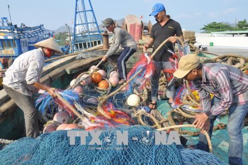 欧委会开始对越南“打击IUU非法捕捞”措施落实情况进行检查 hinh anh 1