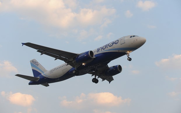 印度靛蓝航空公司计划开通飞往越南的航线 hinh anh 1