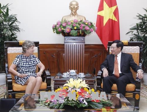越南政府副总理兼外长范平明会见西班牙驻越大使 hinh anh 1