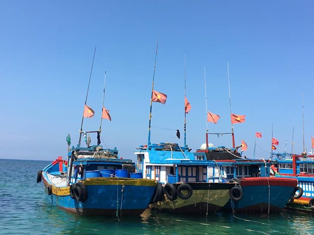 渔船、捕捞区及水产资源卫星观察系统发挥积极作用 hinh anh 2