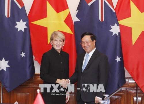 越南政府副总理兼外长范平明与澳大利亚外长朱莉·毕晓普举行会谈 hinh anh 1