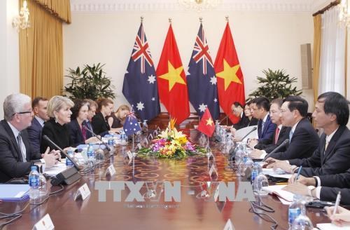 越南政府副总理兼外长范平明与澳大利亚外长朱莉·毕晓普举行会谈 hinh anh 2