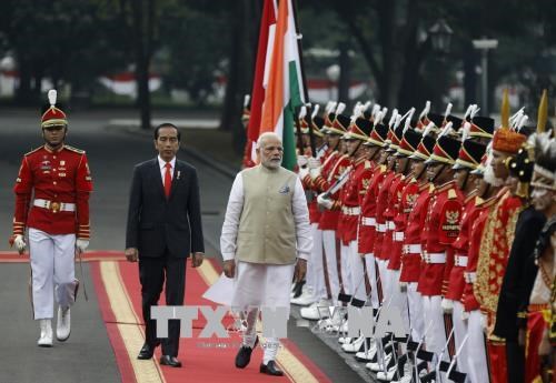 印度与印尼建立新的全面战略伙伴关系 hinh anh 1