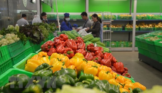 今年前5个月越南蔬果出口额达16.2亿美元 hinh anh 1