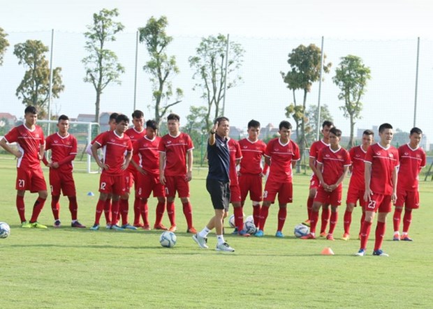 越南U19队将参加在卡塔尔举行的四强赛 hinh anh 1