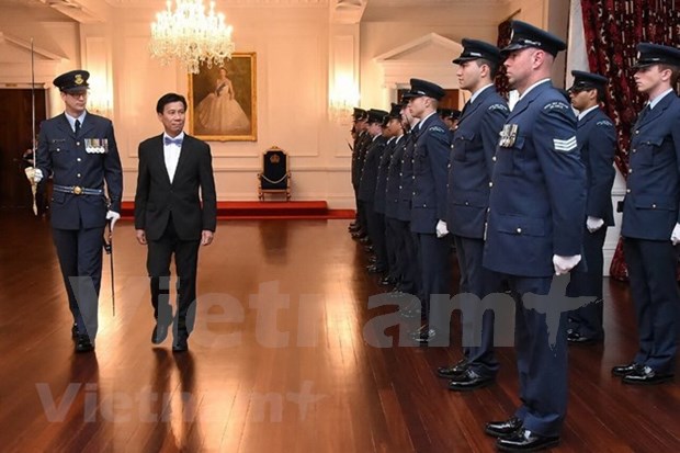 新西兰总督：越南在各多边组织中扮演重要的作用 hinh anh 2