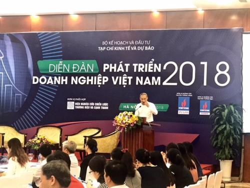 2018年越南企业发展论坛在河内举行 hinh anh 2