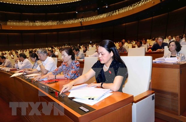 国会发布2019年法律法令制定计划 hinh anh 1