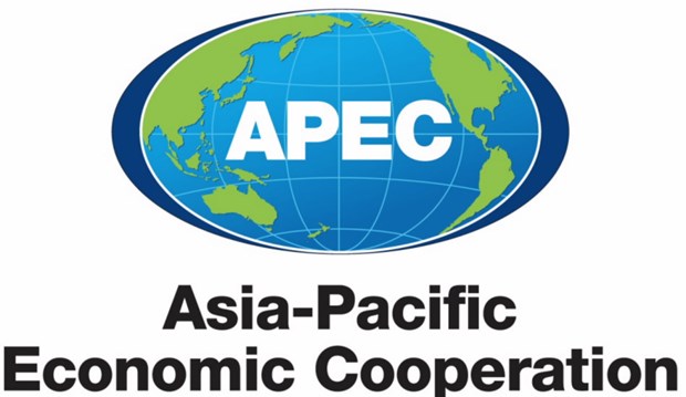 APEC会议为地区经济提供巨大机遇 hinh anh 1
