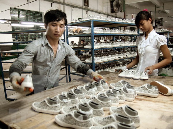 越南皮革制鞋业迎来许多机会 hinh anh 2