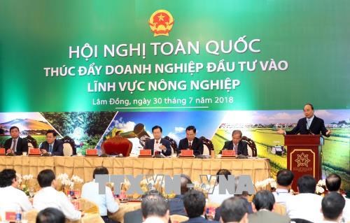 政府总理阮春福：力争未来10年把越南跻身世界15大农业最发达的国家行列 hinh anh 1