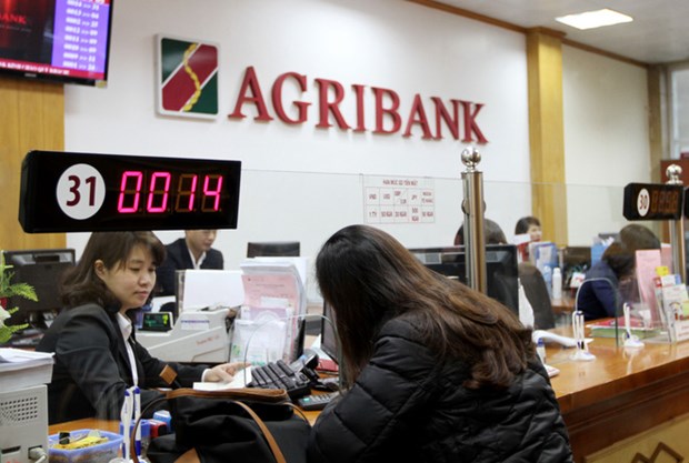 越南Agribank银行为高科技农业提供优惠贷款 hinh anh 1
