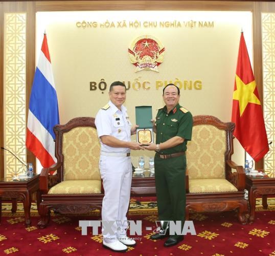 越泰两国海军促进合作 hinh anh 2
